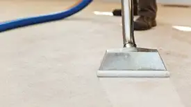Carpet cleaning wand head gliding over a light carpet during hot-water extraction, West Palm Beach, FL.
