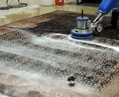 Professional rug cleaning with a rotary floor machine and shampoo foam, deep-cleaning an area rug, in West Palm Beach, FL.