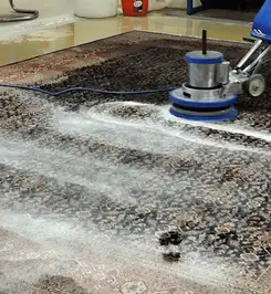 Professional rug cleaning with a rotary floor machine and shampoo foam, deep-cleaning an area rug West Palm Beach, FL.